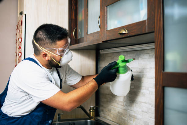 Best Pest Removal Services  in Attleboro, MA
