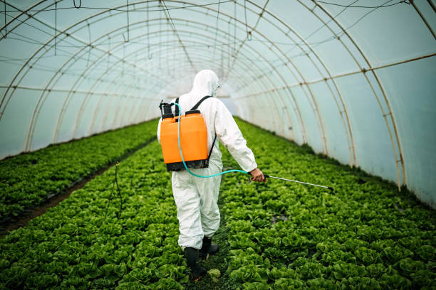 Best Pest Control Cost  in Attleboro, MA