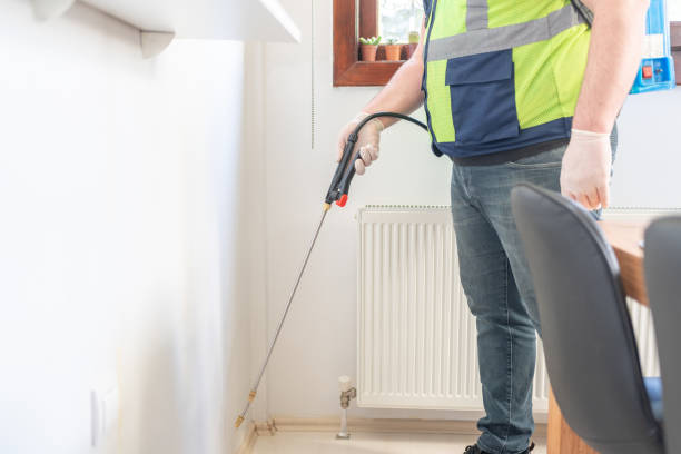Best Mosquito Control Services  in Attleboro, MA