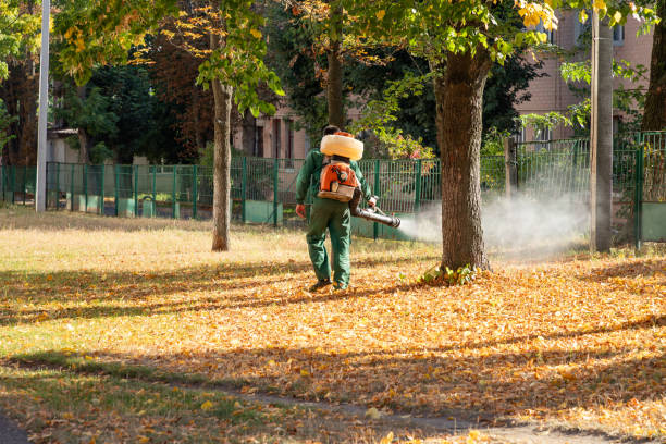 Best Wasp Removal Services  in Attleboro, MA