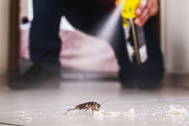 Best Affordable Pest Control Services  in Attleboro, MA