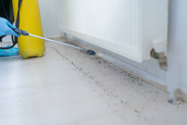 Best Commercial Pest Control Services  in Attleboro, MA